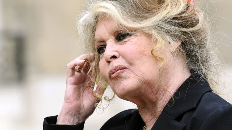 Brigitte Bardot appelle les consommateurs à ne plus mettre de steak de cheval dans leur assiette.