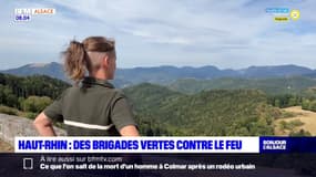 Sécheresse: dans le Haut-Rhin, des brigades vertes contre le feu