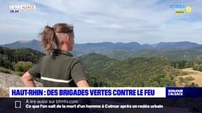 Sécheresse: dans le Haut-Rhin, des brigades vertes contre le feu