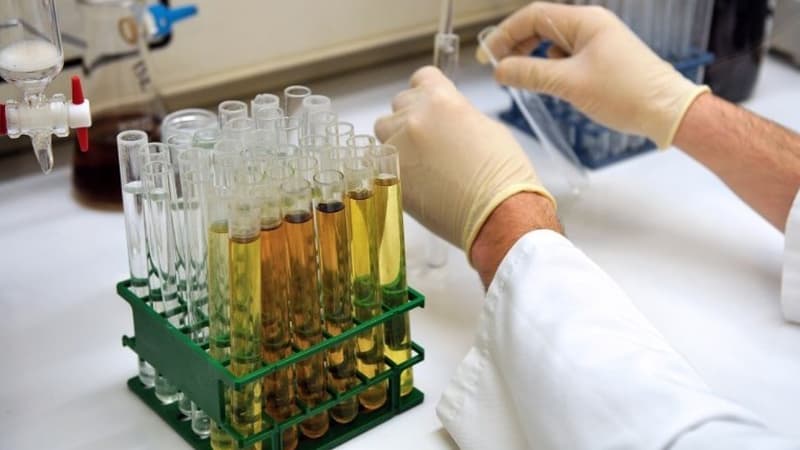 Un laboratoire (image d'illustration).