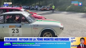 Colmars-les-Alpes: retour de la 7e montée historique