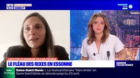 Essonne: comment enrayer le phénomène des rixes inter-quartiers?