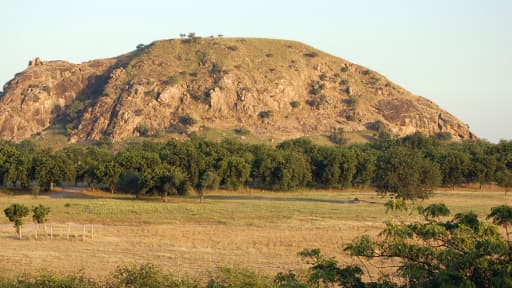 Le parc naturel de Waza, dans le nord du Cameroun.