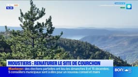 JT du Sud du lundi 4 novembre 