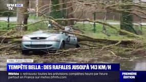 Les images des dégâts causés par la tempête Bella