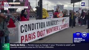 Paris: une association manifeste contre une soirée du Nouvel An à l'Aquarium