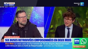 Planète locale du mercredi 26 mars - Bas-Rhin : qui en veut aux buses ?