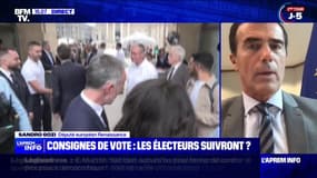 Législatives: "Ce 'ni-ni' n'est pas acceptable", affirme Sandro Gozi, député européen "Renaissance"