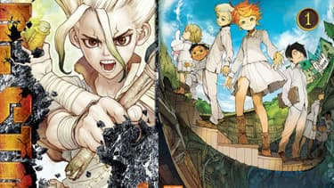Dr. Stone et Promised Neverland