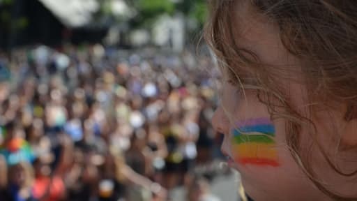 Douze élus PS veulent inscrire la PMA dans le projet de loi sur le mariage pour tous.