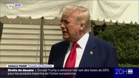 Donald Trump: "Tout va très bien (...) il y a des milliards et des milliards qui arrivent dans notre pays" 