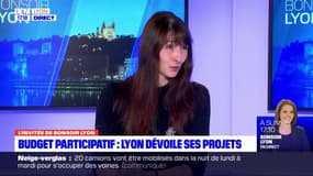 Lyon les projets lauréats du budget participatif 