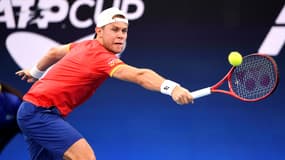 Radu Albot.