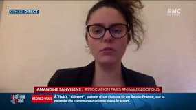 Bien-être animal: les spectacles de lions et de tigres sont sur le point de disparaître