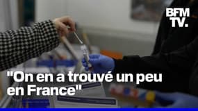 Un nouveau variant du Covid-19 a été identifié en France