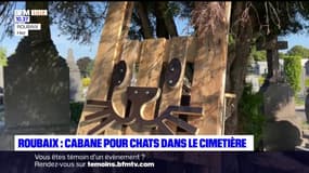 Roubaix: cabane pour chats dans le cimetière 