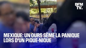  Un ours sème la panique pendant un pique-nique dans un parc au Mexique 