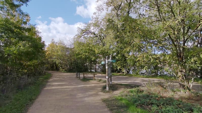 Le parc de la Feyssine, à Villeurbanne.