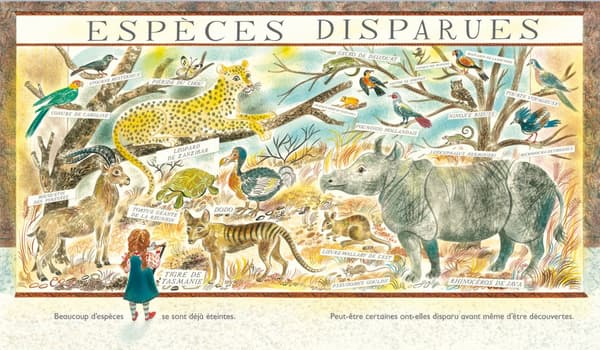 "Tous: la biodiversité sur terre" de Nicola Davies et Emily Sutton
