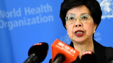 Margaret Chan, directrice de l'OMS, lors d'une conférence de presse le 8 août.