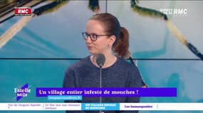 RMC s’engage pour vous : Un village entier infeste de mouches !  - 15/11