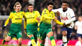 Jamal Lewis au duel avec Steven Bergwijn lors du match Tottenham-Norwich, le 4 mars 2020