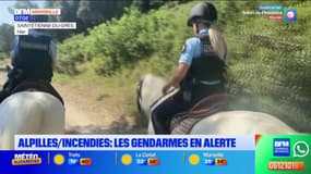 Au cœur des Alpilles, les gendarmes sont en alerte face au risque d'incendie