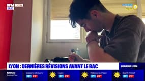 Lyon: dernières révisions avant les premières épreuves du bac