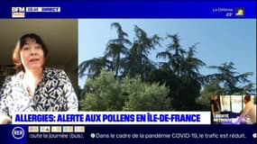 "Les pollens sont des allergènes dont la sensibilisation augmente au fil des années", explique Catherine Neukirch, médecin allergologue