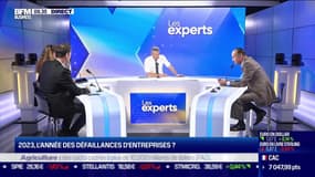 Les Experts : Loi immigration, faut-il régulariser dans les métiers en tension ? - 06/11