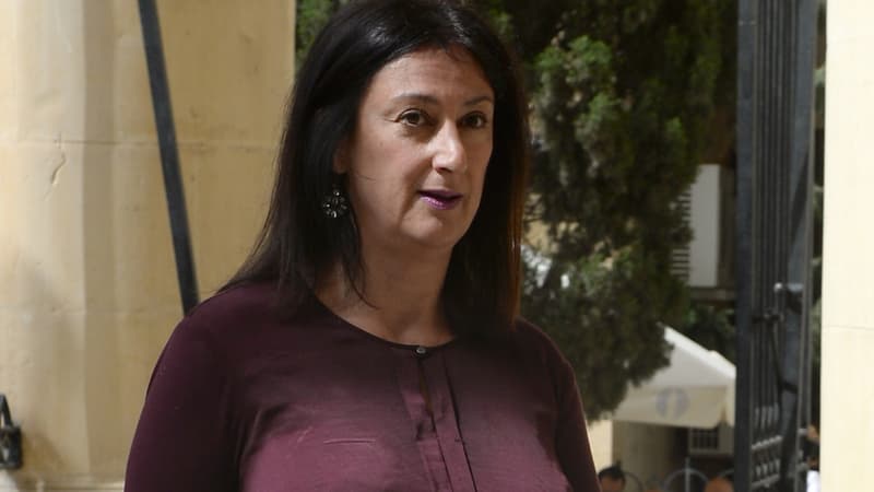 La blogueuse Daphne Caruana Galizia, en avril 2017.