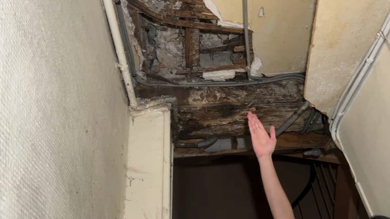 Fissures, moisissure, humidité... des locataires alertent sur l'insalubrité de leur immeuble à Elbeuf