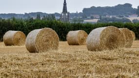 Des bottes de foin (photo d'illustration)