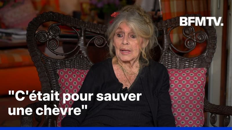 Mort de Brigitte Bardot: quand l'actrice racontait à BFMTV pourquoi elle avait arrêté le cinéma