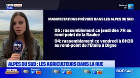 Alpes du Sud: la grogne monte à nouveau chez les agriculteurs