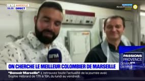 À la recherche du meilleur colombier de Marseille