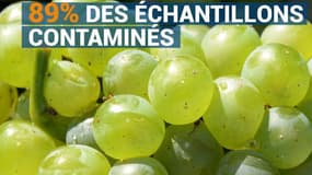 Ces fruits et légumes qui font exploser le compteur des pesticides