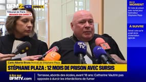 Condamnation de Stéphane Plaza pour "violences": ses avocats annoncent faire appel