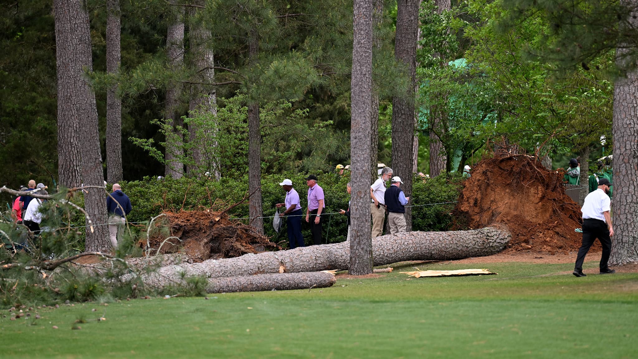 La chute d'un arbre massif au Masters d'Augusta, le 7 avril 2023 La chute d'un arbre massif au Masters d'Augusta, le 7 avril 2023