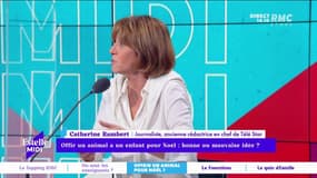 Offrir un animal à un enfant pour Noël : bonne ou mauvaise idée ? "Les associations disent que les adoptions de Noël ça prépare les abandons des vacances", rappelle Catherine Rambert.