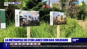 La métropole de Lyon lance son bail solidaire