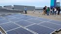 Les organisations environnementale s'opposent à la taxe sur les panneaux solaires chinois.