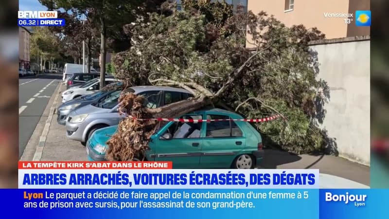 Dépression Kirk: arbres arrachés, voitures écrasées, les dégâts de la tempête dans le Rhône