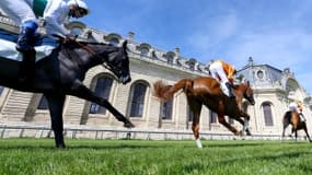 Les pronos hippiques du lundi 15 mars 2021