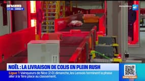 Noël : la livraison de colis en plein rush