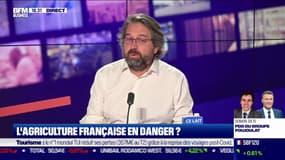 L'agriculture française en danger ? "Il faut payer au juste prix les produits"