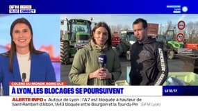 "On a décidé de repartir au combat": les agriculteurs décident de maintenir le blocage sur l'autoroute A7/M7 près de Lyon