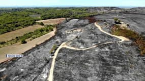 Ces images aériennes montrent l'ampleur des hectares réduits en cendre dans le Gard