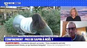 Aura-t-on des sapins pour Noël ? BFMTV répond à vos questions
