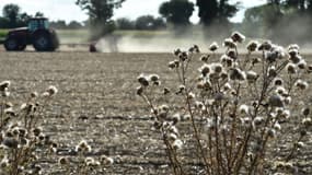 L'évaluation des dégâts ne fait "que commencer car un épisode si extrême à cette période de l'année se fera sentir sur l'ensemble de la saison".  